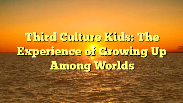 Third Culture Kids: The Experience Of Growing Up Among Worlds - Britzinoz